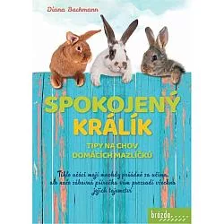 Spokojený králík