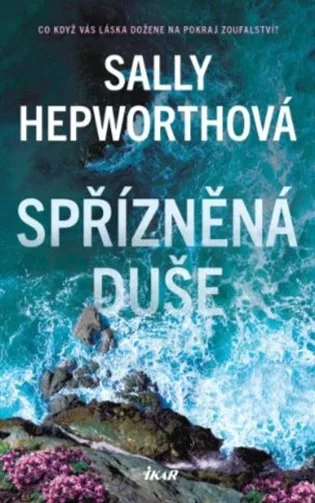 Spřízněná duše