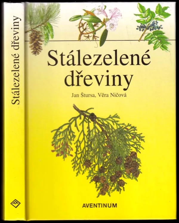 Stálezelené dřeviny