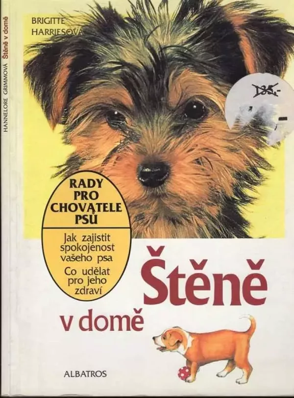 Štěně v domě