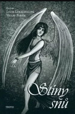 Stíny snů