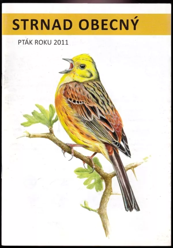 Strnad obecný - pták roku 2011