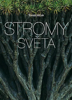 Stromy světa