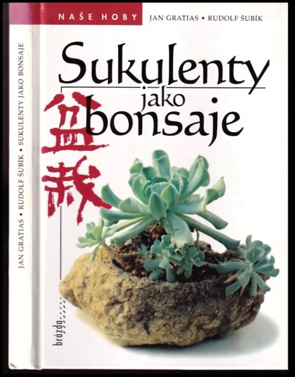 Sukulenty jako bonsaje