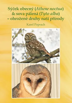 Sýček obecný (Athene noctua) & sova pálená (Tyto alba) – ohrožené druhy naší přírody