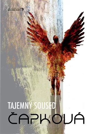 Tajemný soused