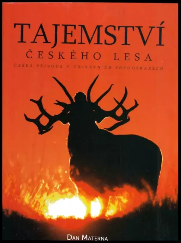 Tajemství českého lesa