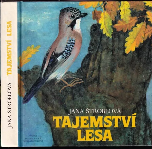 Tajemství lesa