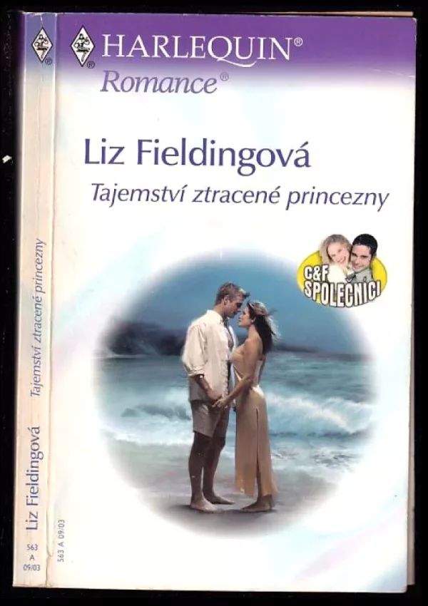 Tajemství ztracené princezny