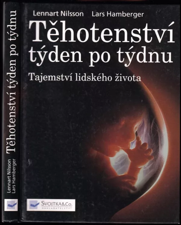 Těhotenství týden po týdnu