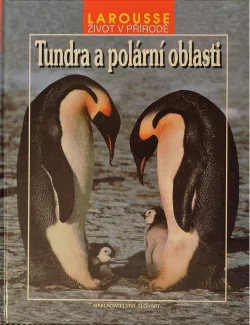 Tundra a polární oblasti