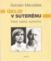 Úklid v suterénu