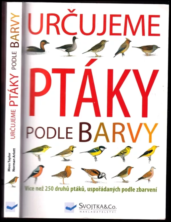 Určujeme ptáky podle barvy