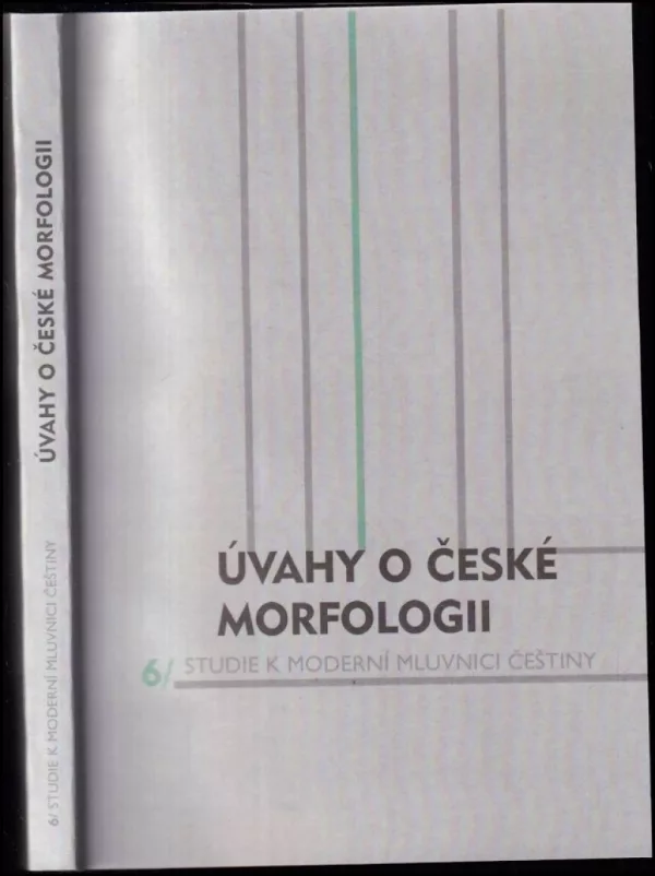 Úvahy o české morfologii
