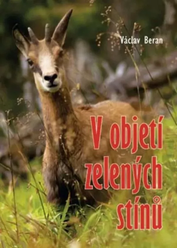 V objetí zelených stínů