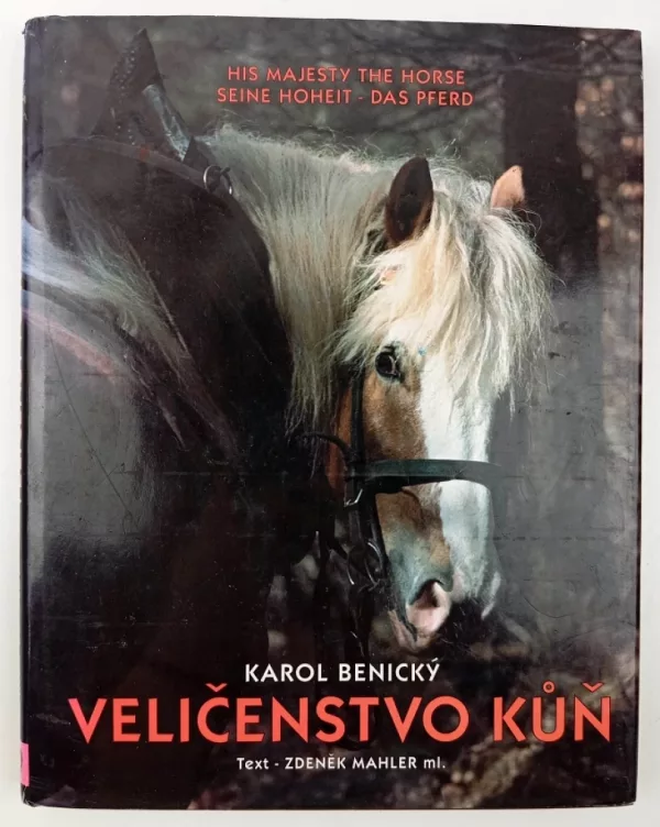 Veličenstvo kůň