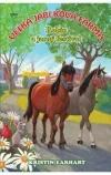 Robin a jarný festival