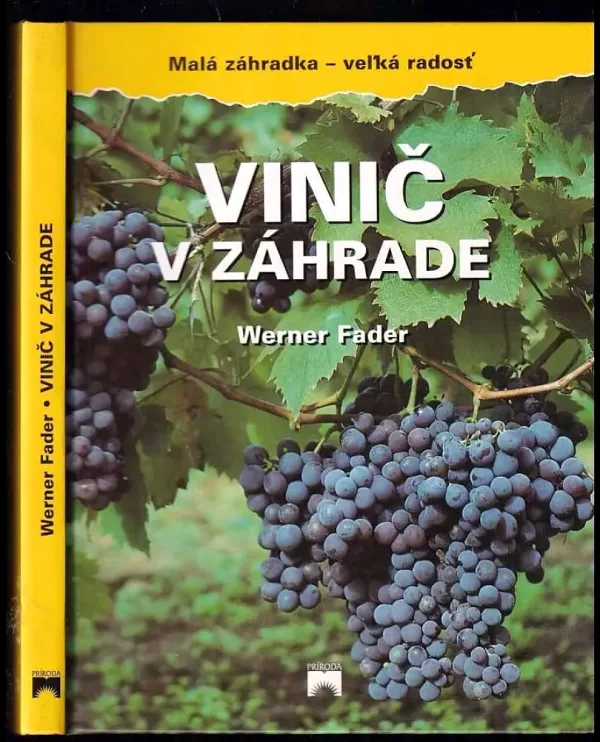 Vinič v záhrade