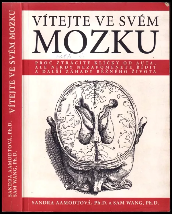 Vítejte ve svém mozku