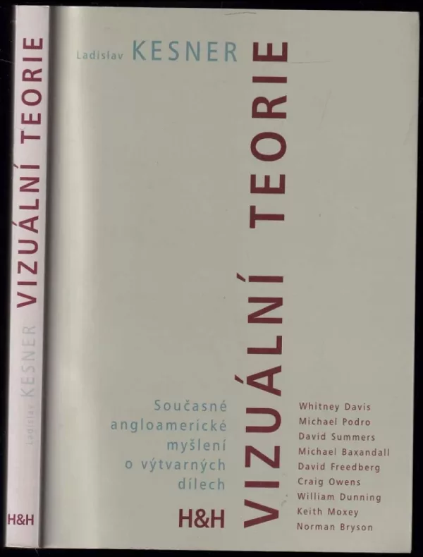Vizuální teorie