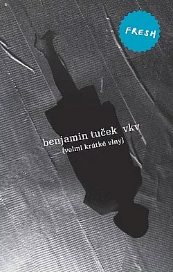 VKV (Velmi krátké vlny)