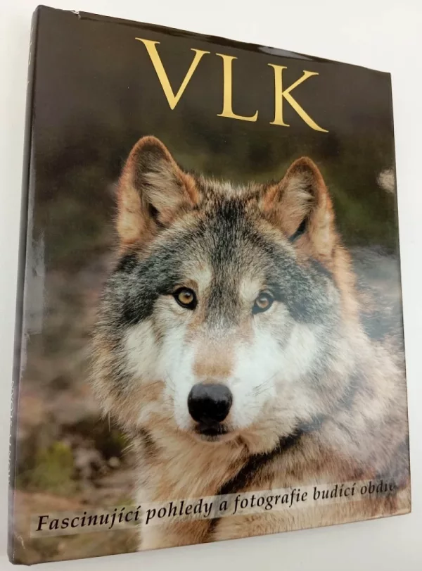 Vlk