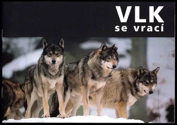 Vlk se vrací