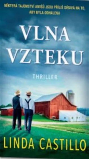 Vlna vzteku
