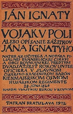 Vojak v poli