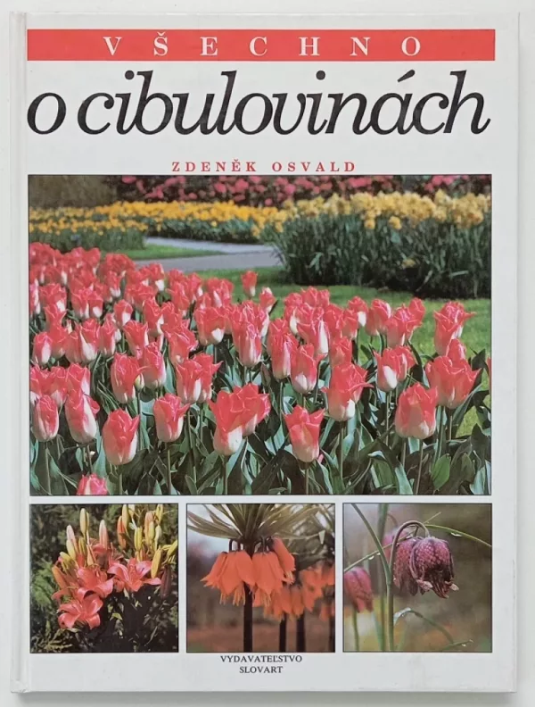 Všechno o cibulovinách
