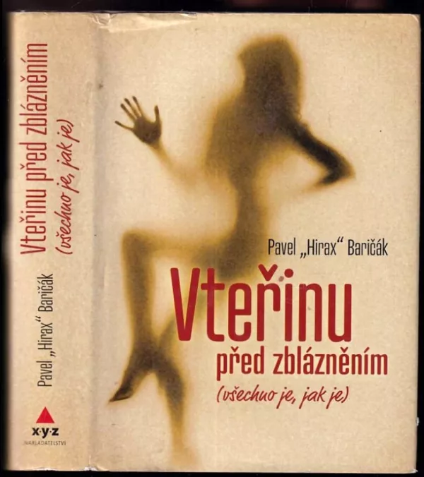 Vteřinu před zblázněním