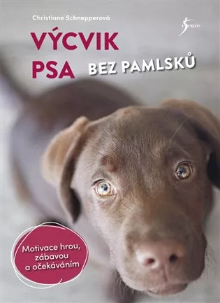 Výcvik psa bez pamlsků