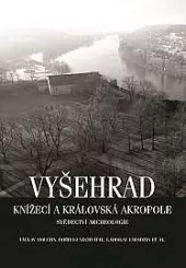 Vyšehrad, knížecí a královská akropole