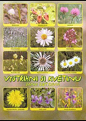 Vystřihni si květinu