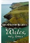 Wales, můj domov