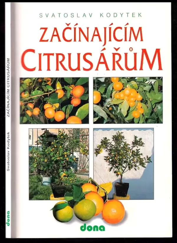 Začínajícím citrusářům