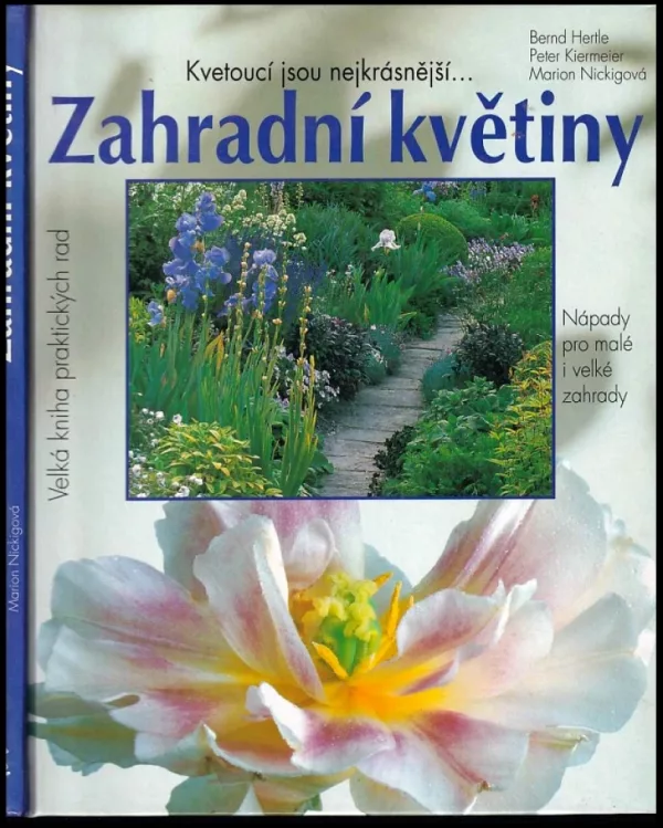 Zahradní květiny