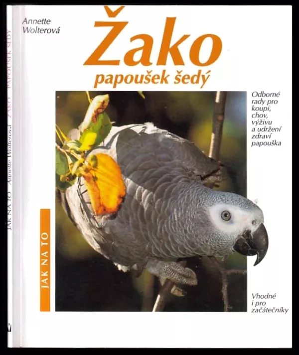 Žako, papoušek šedý