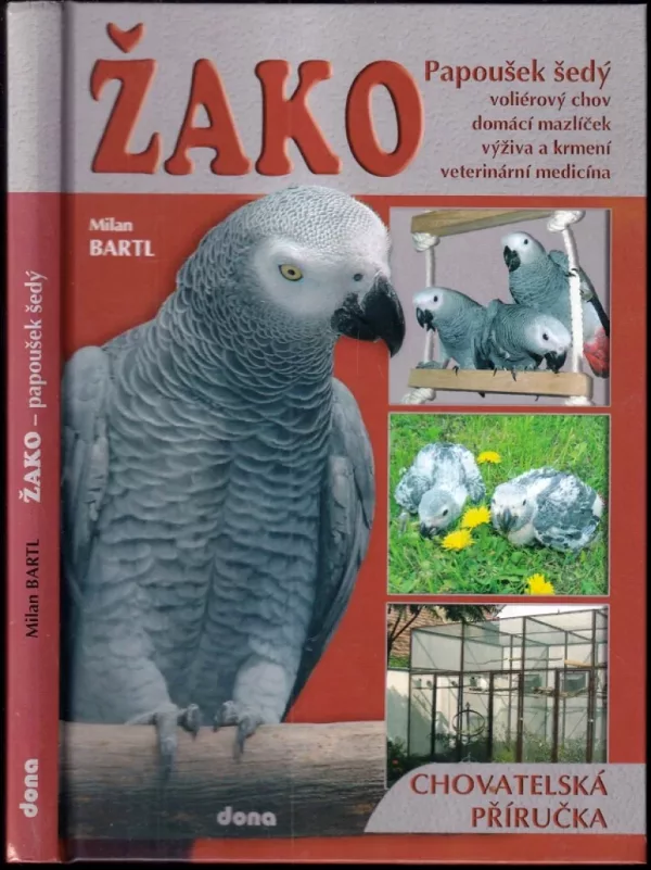 Žako - papoušek šedý