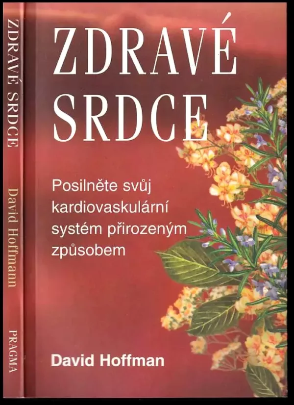 Zdravé srdce