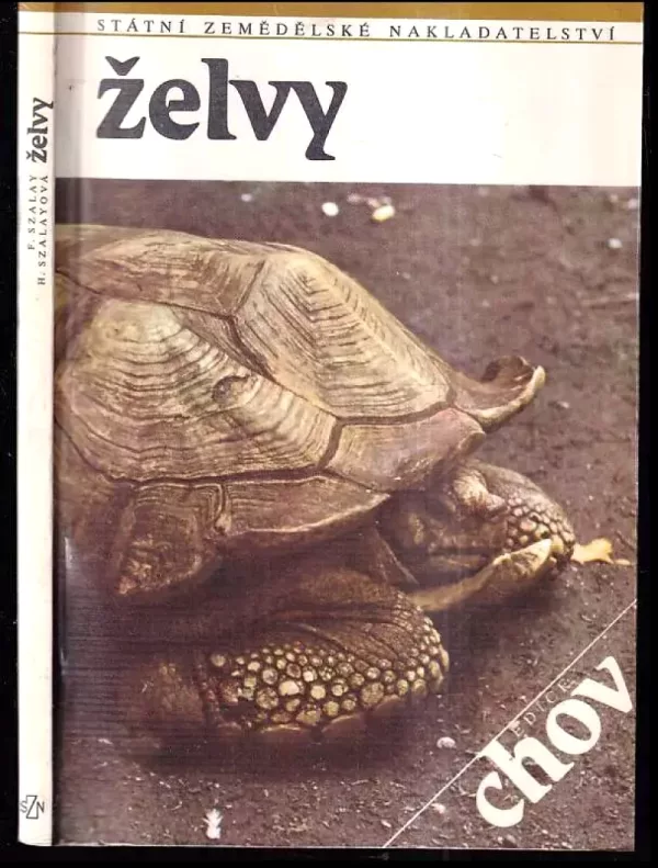 Želvy