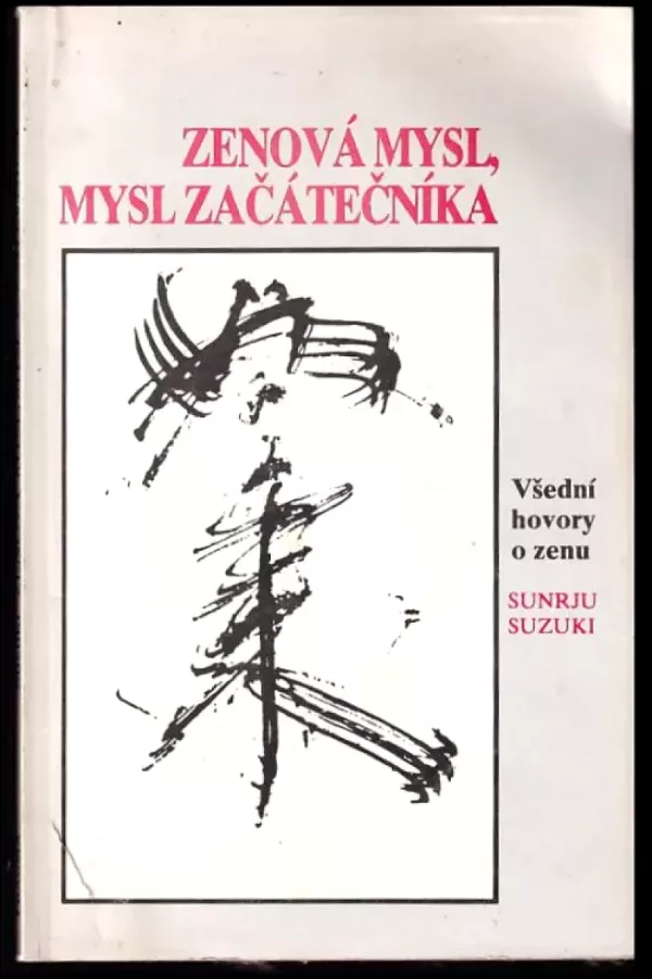 Zenová mysl, mysl začátečníka