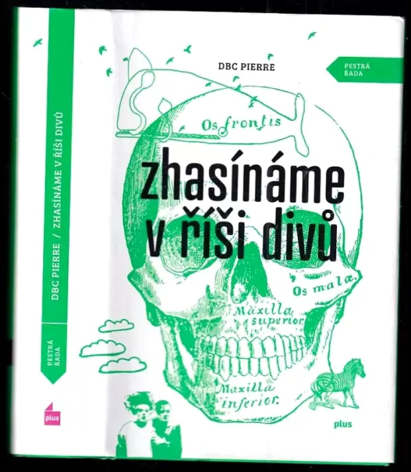Zhasínáme v říši divů : alegorický bildungsroman