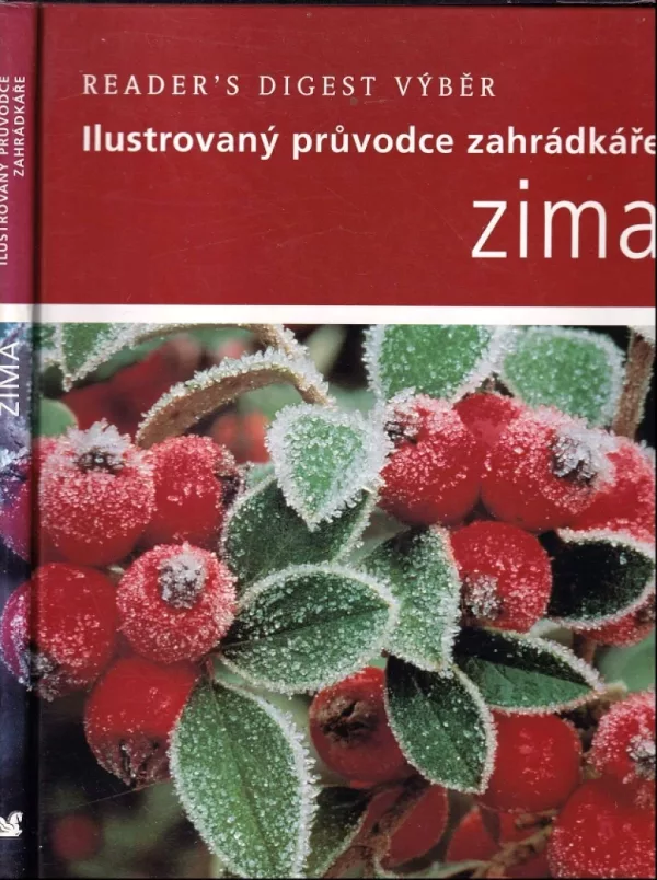 Zima