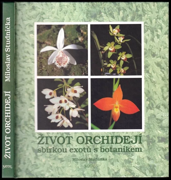 Život orchidejí