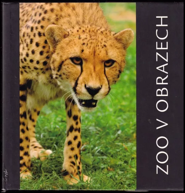 Zoo v obrazech