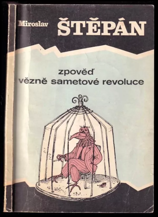 Zpověď vězně sametové revoluce