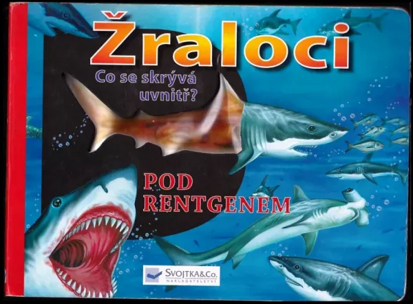 Žraloci pod rentgenem