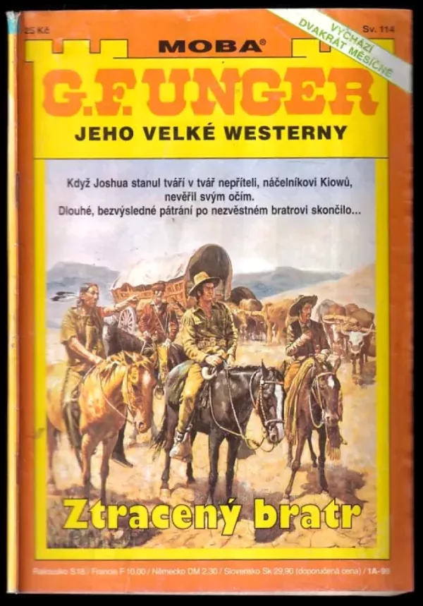 Ztracený bratr