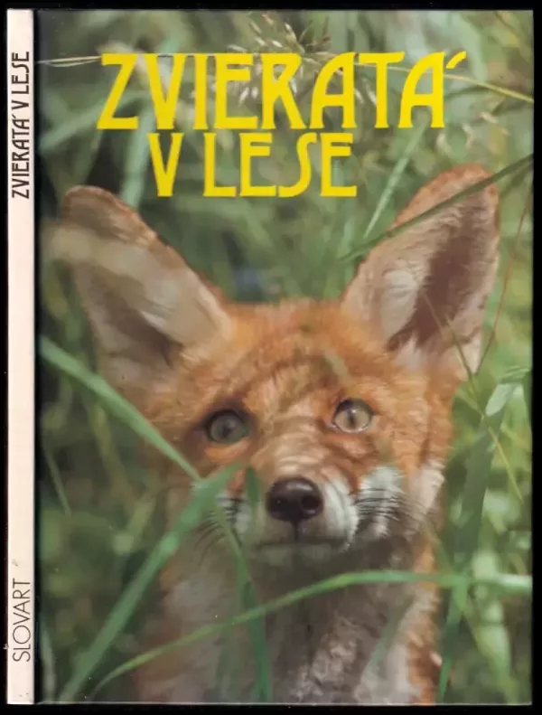 Zvieratá v lese
